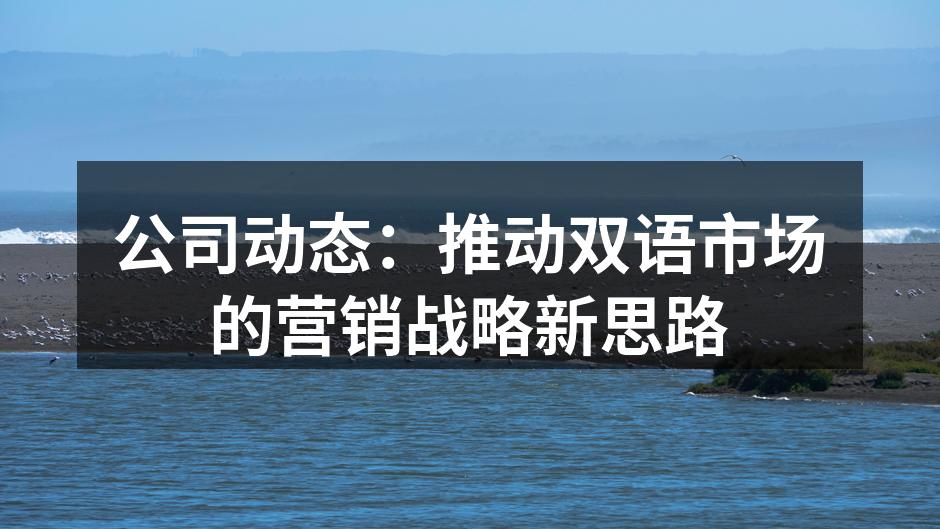 公司动态：推动双语市场的营销战略新思路