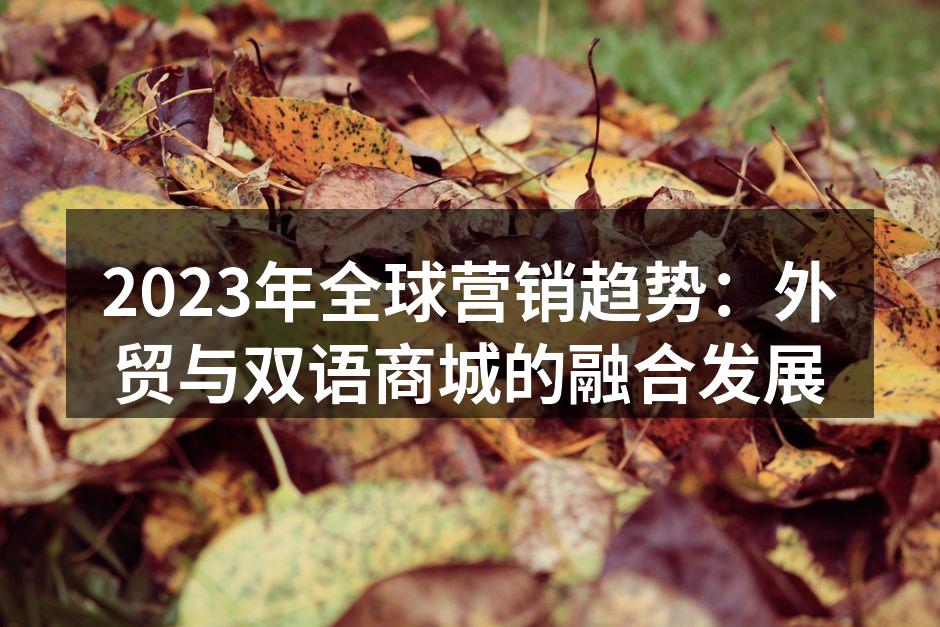 2023年全球营销趋势：外贸与双语商城的融合发展