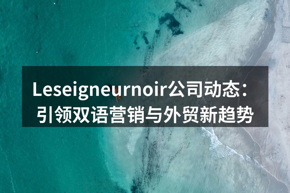 Leseigneurnoir公司动态：引领双语营销与外贸新趋势