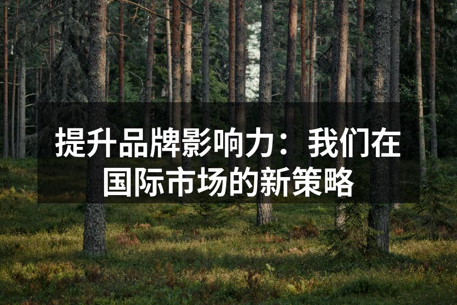 提升品牌影响力：我们在国际市场的新策略