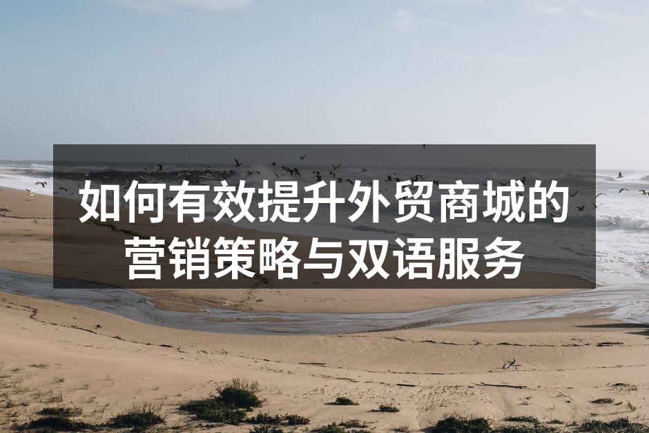 如何有效提升外贸商城的营销策略与双语服务