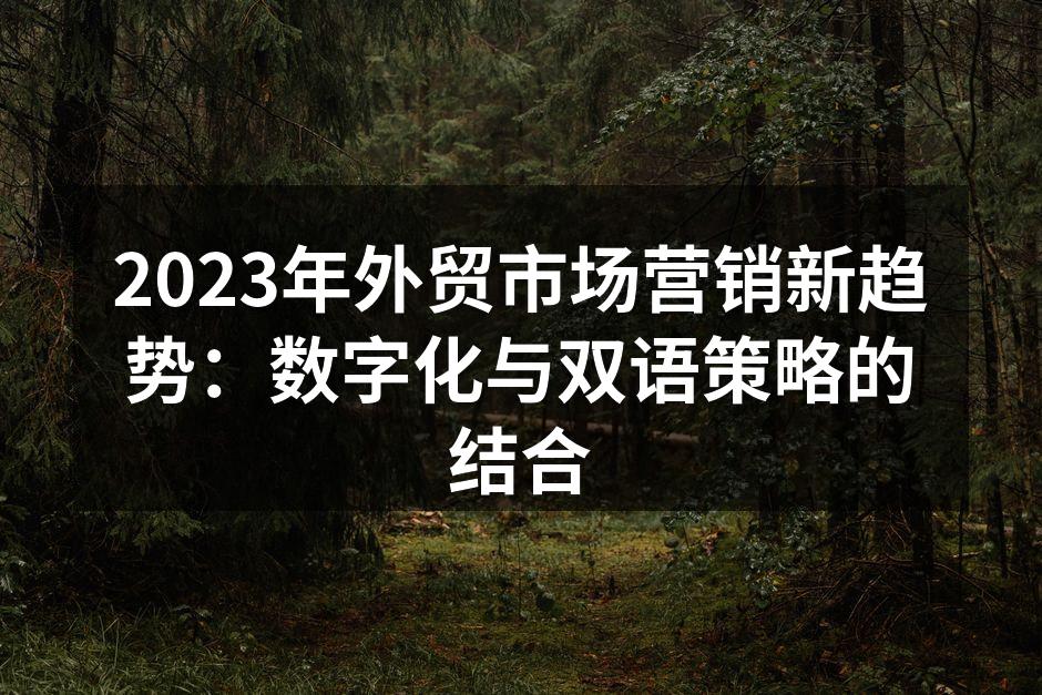 2023年外贸市场营销新趋势：数字化与双语策略的结合