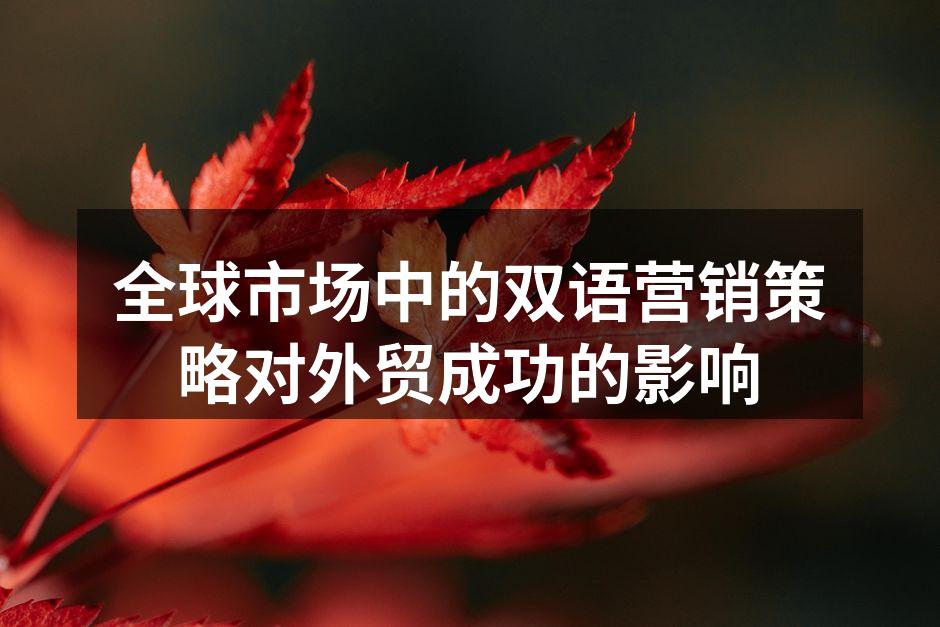 全球市场中的双语营销策略对外贸成功的影响