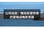 公司动态：推动双语市场的营销战略新思路